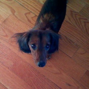 Milton 15-39-03
