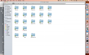 Pix Folders