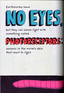 TheWorm-photoreceptors