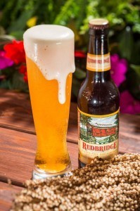 Redbridge Gluten-Free Sorghum Beer ©Disney