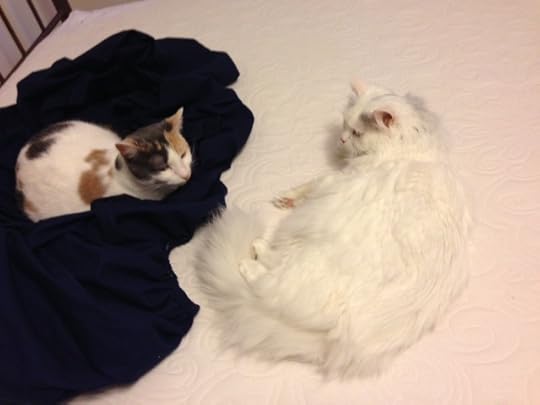 making the bed