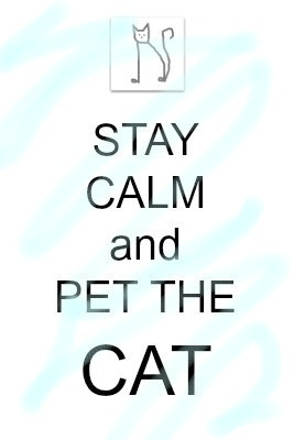 stay calm