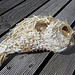 blowfish