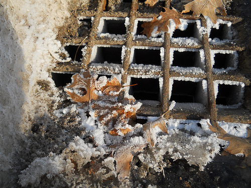 prison bars, hoarfrost fringed