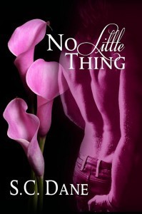 NoLittleThing