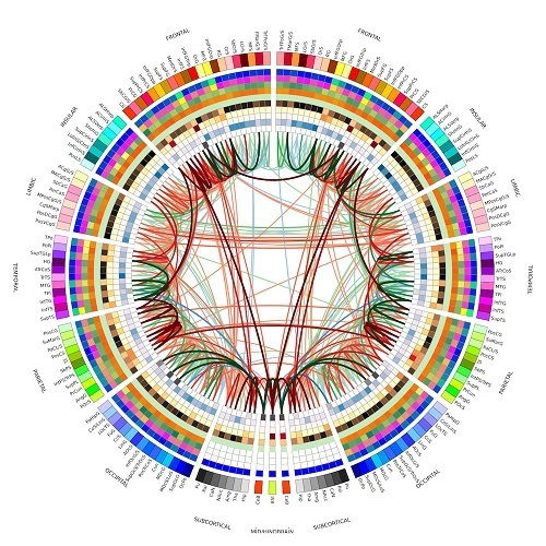 image-4-wikipedia-Double_Connectogram-final