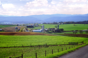 early_spring2