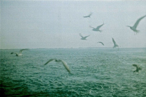 20120117-002159.jpg