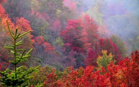 asheville_nc_700.jpg