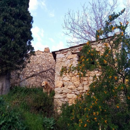 Cabanon-and-braise