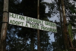 program adopsi pohon (sumber : toscasantoso.tumblr.com)