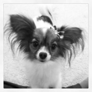 426121_578914385182_141100146_31598041_978323566_n