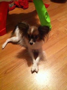 1476413_673978256422_1963028030_n