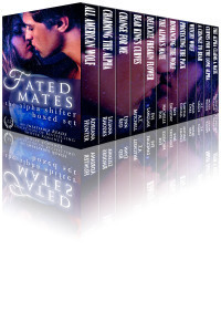 FM Boxed Set