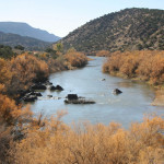 20071112-iStock_000010035451Medium