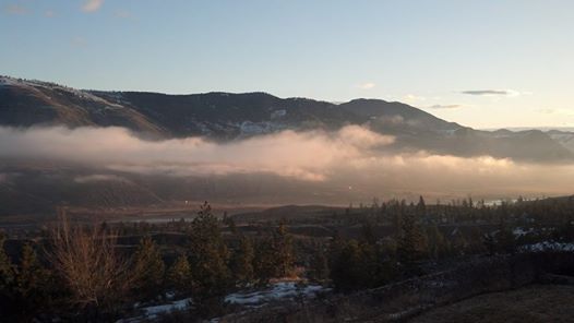 1794791_10151913093351875_417139147_n