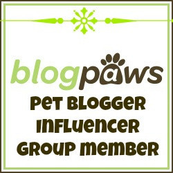 InfluencerBadge