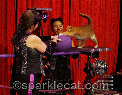 Prepping for her performance!