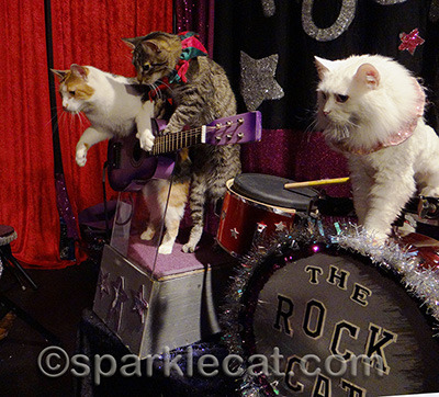 They were having some guitar issues