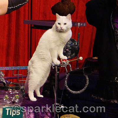 She always plays MORE cowbell!