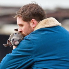 tom hardy and puppy