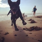 cousins.1239005_10201444394727357_372830143_n