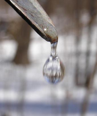 photo Michael Czarnecki, http://foothillspublishing.com