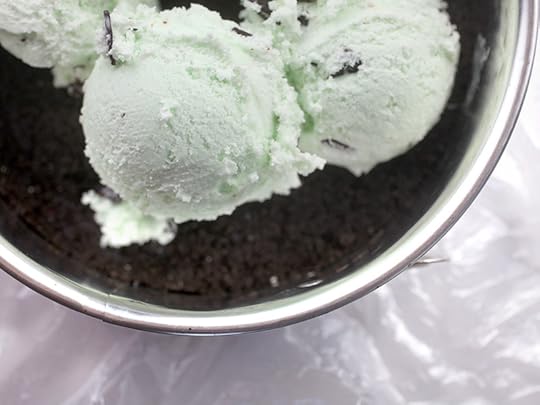 Mint Chip Ice Cream