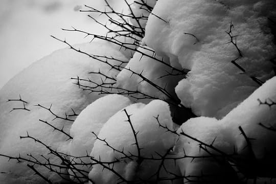 The Minimalist Photographer: Photo Stream &emdash; Snow