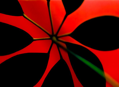 The Minimalist Photographer: New Uploads &emdash; 