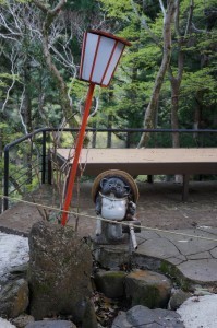 Tanuki