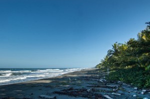 world wide gifts beaches