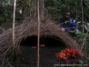 roof bower