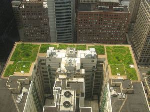 Green roof_Chicago_City_Hall_Green_Roof