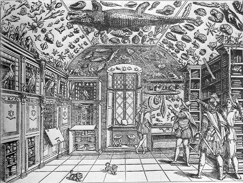 Imperato Ferrante museo