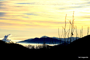 lake junaluska march 2014 004