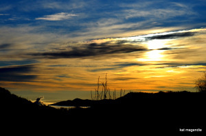 lake junaluska march 2014 008