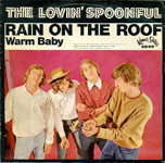 Rain on the Roof sleeve