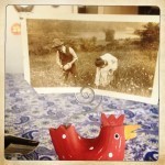 a couple picking flowers in a field