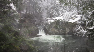 BellinghamSnow2014 015