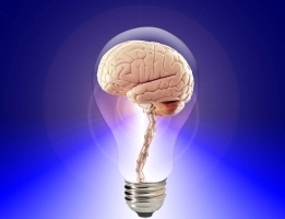 Brain, mind - Two-in-one