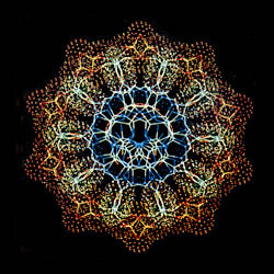 DNA cross section