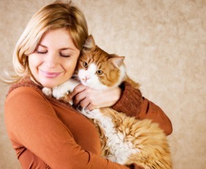 pregnancy and cats