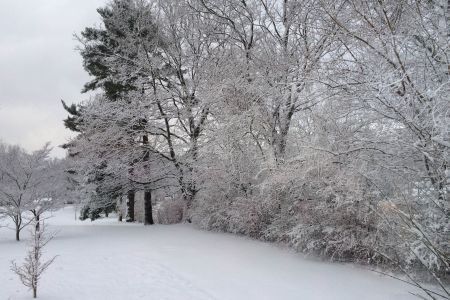 The Winter of 2014: Endless Snow