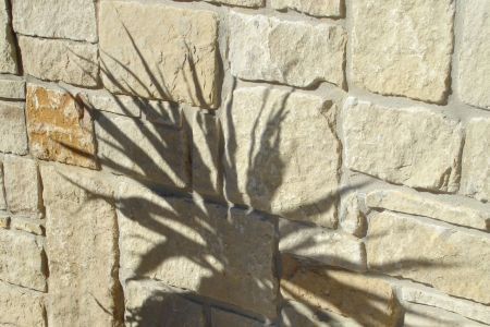 Nothing but a shadow
