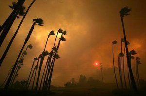 No, seriously. This is a real picture of what these winds have done in the past.