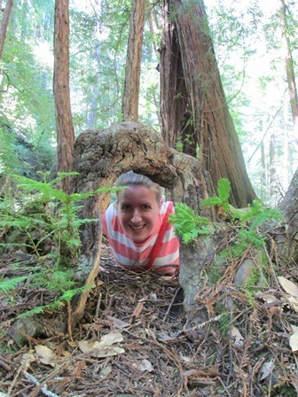 Elyse Turr in Muir Woods