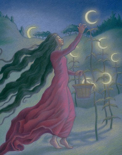 Night Harvest