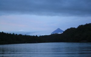 IMG_9958