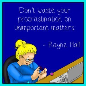 Rayne-Hall-Writing-Meme-Dont-Waste-300x300